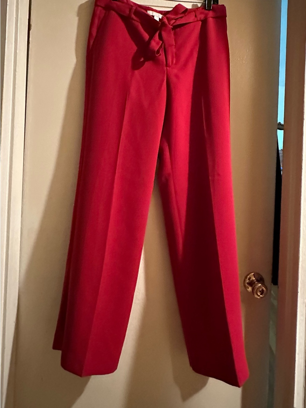 Banana Republic Crimson Wide-Leg High-Rise Pants with Tie